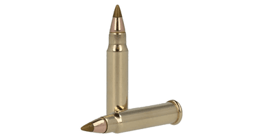 RIMFIRE ROUNDS